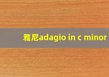 雅尼adagio in c minor